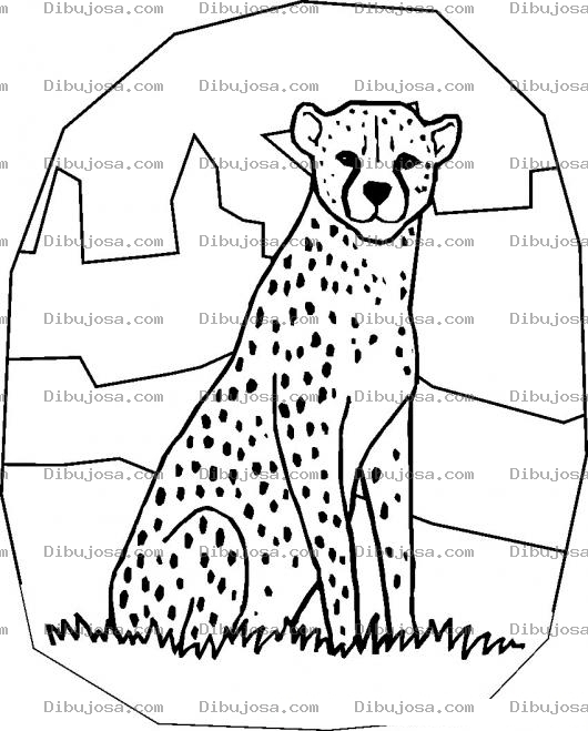 Dibujo para colorear Colorear Chita