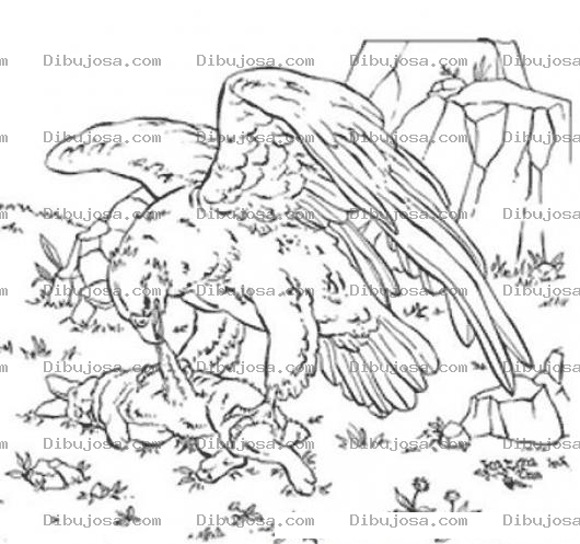 Dibujo para colorear Colorear Aguila Comiendo Un Conejo