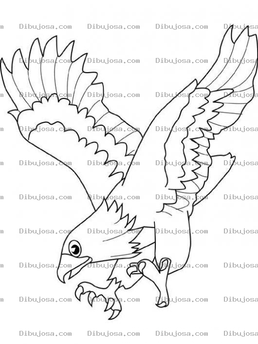 Dibujo para colorear Pintar Las Garras De Un Aguila