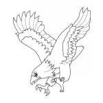 Dibujo para colorear Pintar Las Garras De Un Aguila