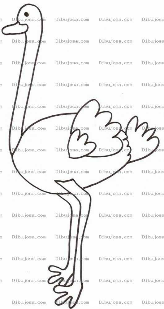 Dibujo para colorear Colorear Avestruz