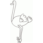 Dibujo para colorear Colorear Avestruz