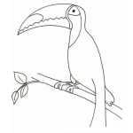 Dibujo para colorear Colorear Tukan