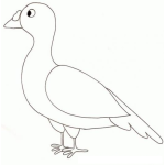 Dibujo para colorear Colorear Codorniz