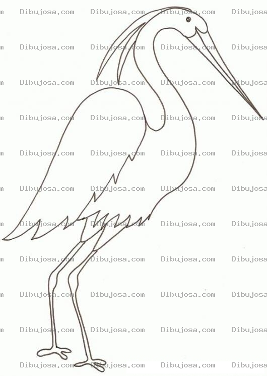 Dibujo para colorear Colorear Garsa