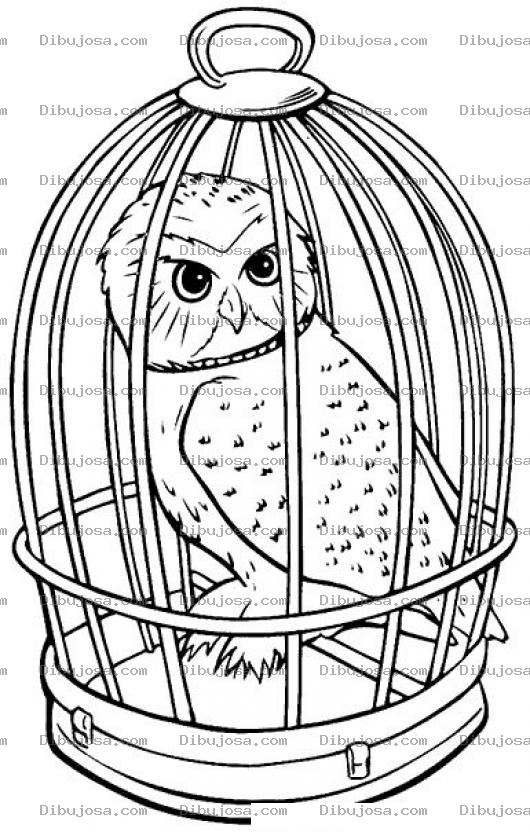 Dibujo para colorear Colorear Buho En Jaula