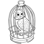 Dibujo para colorear Colorear Buho En Jaula