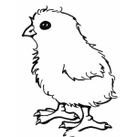 Dibujo para colorear Colorear Pollito Amarillo