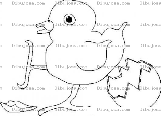 Dibujo para colorear Colorear Pollito Saliendo Del Cascaron