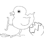 Dibujo para colorear Colorear Pollito Saliendo Del Cascaron