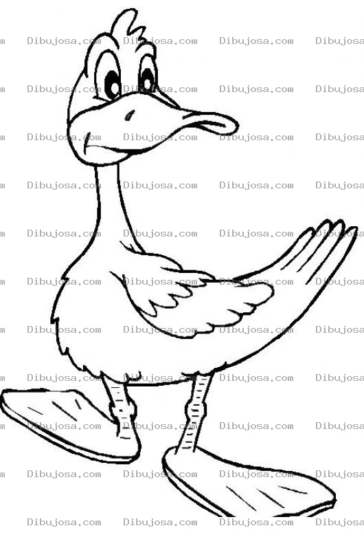 Dibujo para colorear Colorear Pato Con Patotas