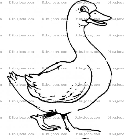 Dibujo para colorear Colorear Pato Caminando