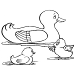 Dibujo para colorear Colorear Mama Pata Con Dos Patitos