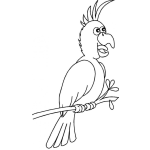 Dibujo para colorear Colorear Cotorra