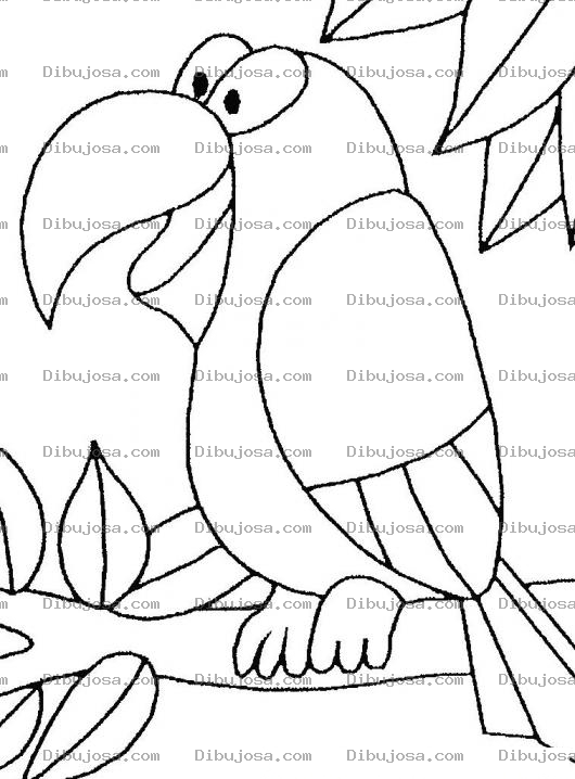 Dibujo para colorear Colorear Cotorro