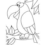 Dibujo para colorear Colorear Cotorro