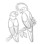 Dibujo para colorear Colorear Pericos En Rama