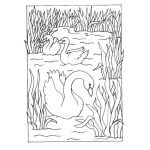 Dibujo para colorear Colorear Cisnes