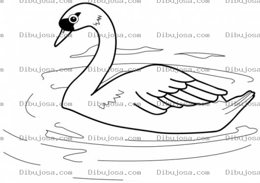 Dibujo para colorear Colorear Cisne