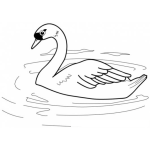 Dibujo para colorear Colorear Cisne
