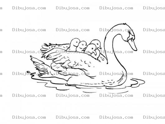 Dibujo para colorear Colorear Pato Con Sus Hijos