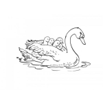 Dibujo para colorear Colorear Pato Con Sus Hijos
