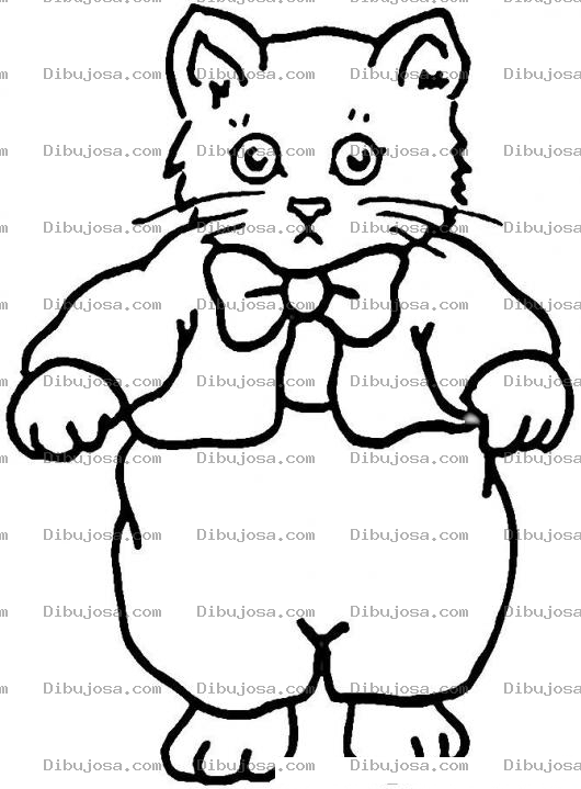 Dibujo para colorear Colorear Gato Con Ropa