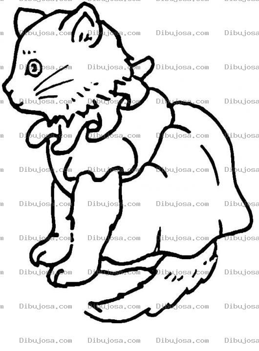 Dibujo para colorear Colorear Gata Con Vestido