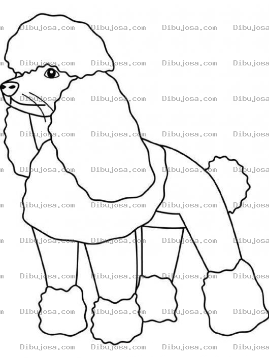 Dibujo para colorear Colorear Perrita French