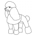 Dibujo para colorear Colorear Perrita French