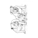 Dibujo para colorear Colorear Familia De Bull Dogs