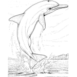 Dibujo para colorear Colorear Delfin Saltando