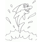 Dibujo para colorear Colorear Delfin Feliz