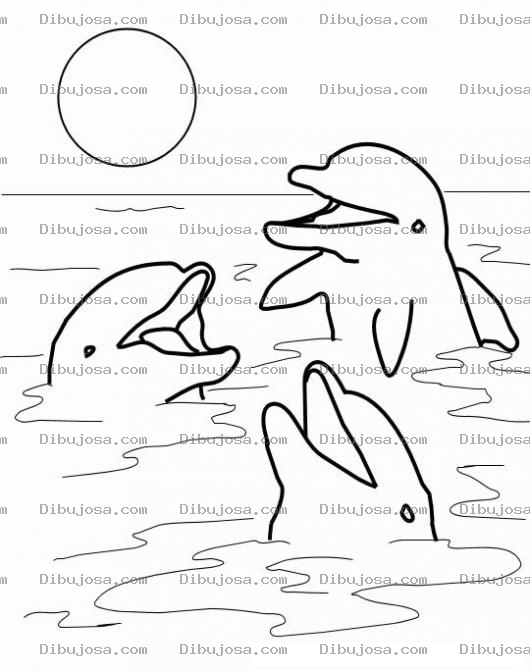 Dibujo para colorear Delfines Jugando Para Colorear