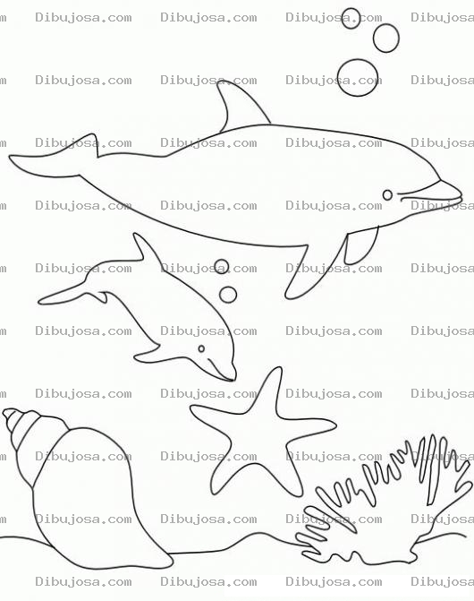 Dibujo para colorear Colorear Delfines Nadando