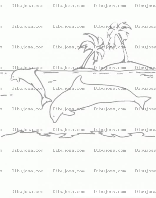 Dibujo para colorear Colorear Delfines En Una Isla
