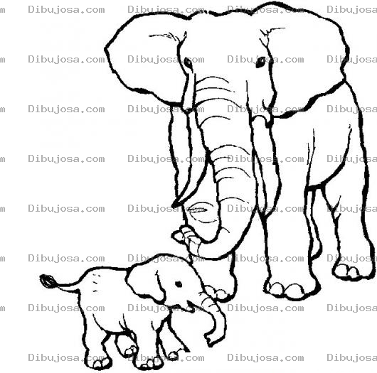 Dibujo para colorear Colorear Papa Elenfante Con Elefantito