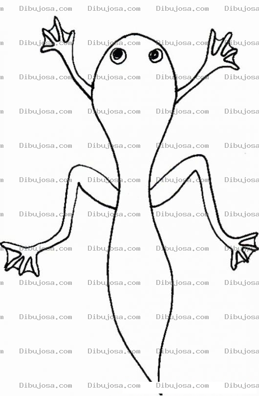 Dibujo para colorear Colorear Renacuajo