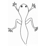 Dibujo para colorear Colorear Renacuajo