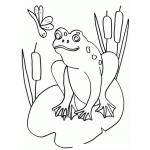 Dibujo para colorear Colorear Rana Con Libelula