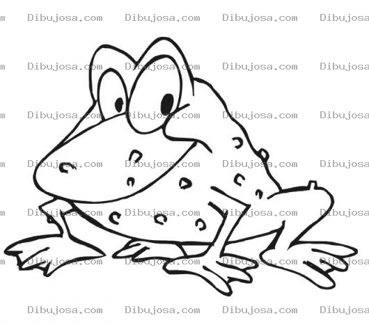 Dibujo para colorear Colorear Sapo Morronoso Con Berrugas Y Ronchas