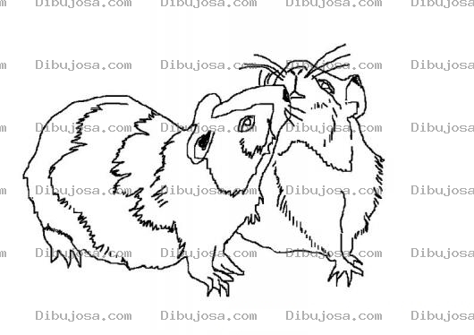 Dibujo para colorear Colorear Pareja De Hamsters