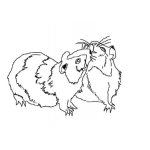 Dibujo para colorear Colorear Pareja De Hamsters