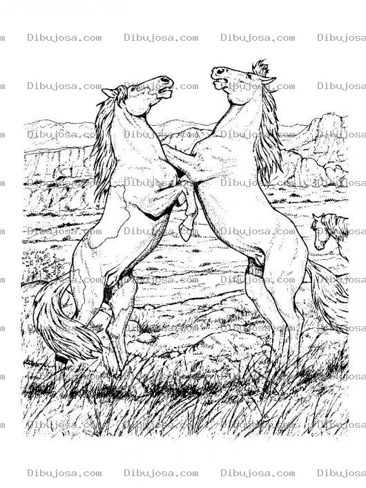 Dibujo para colorear Colorear Caballos Peleando
