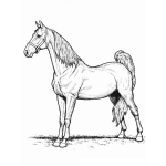Dibujo para colorear Colorear Caballo De Competencia