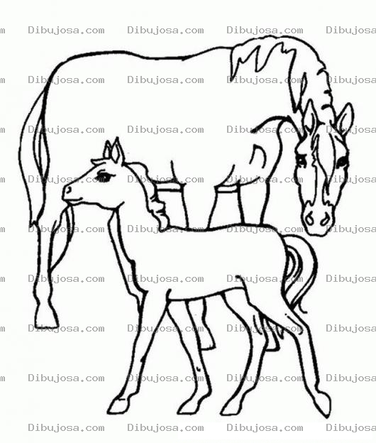 Dibujo para colorear Colorear Yegua Y Su Potrillo