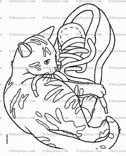 Dibujo para colorear Colorear Gato Con Zapato