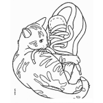Dibujo para colorear Colorear Gato Con Zapato