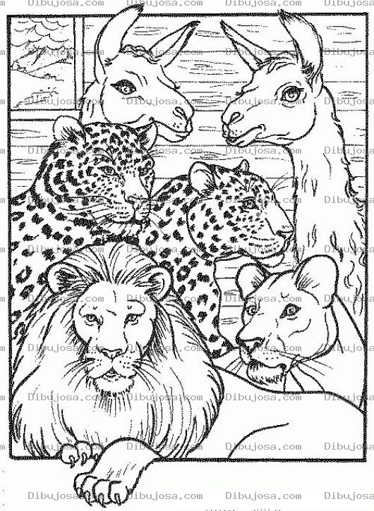 Dibujo para colorear Colorear Leon En El Arca De Noe