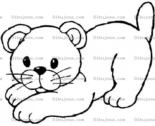 Dibujo para colorear Colorear Cachorro Leon